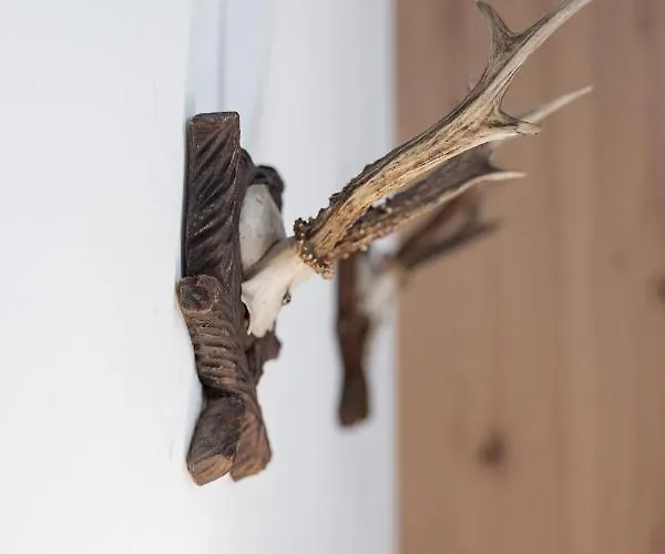 Salzkammergut Apartamento *